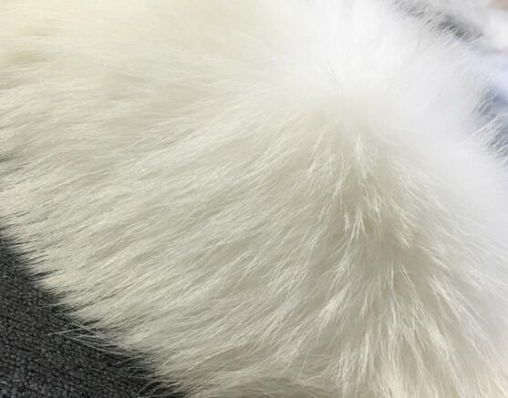 貉子毛領和狐貍毛領哪個貴